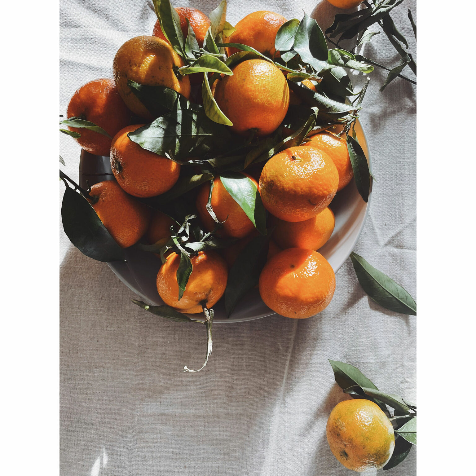 Orangen fotografiert von Mara Hohla